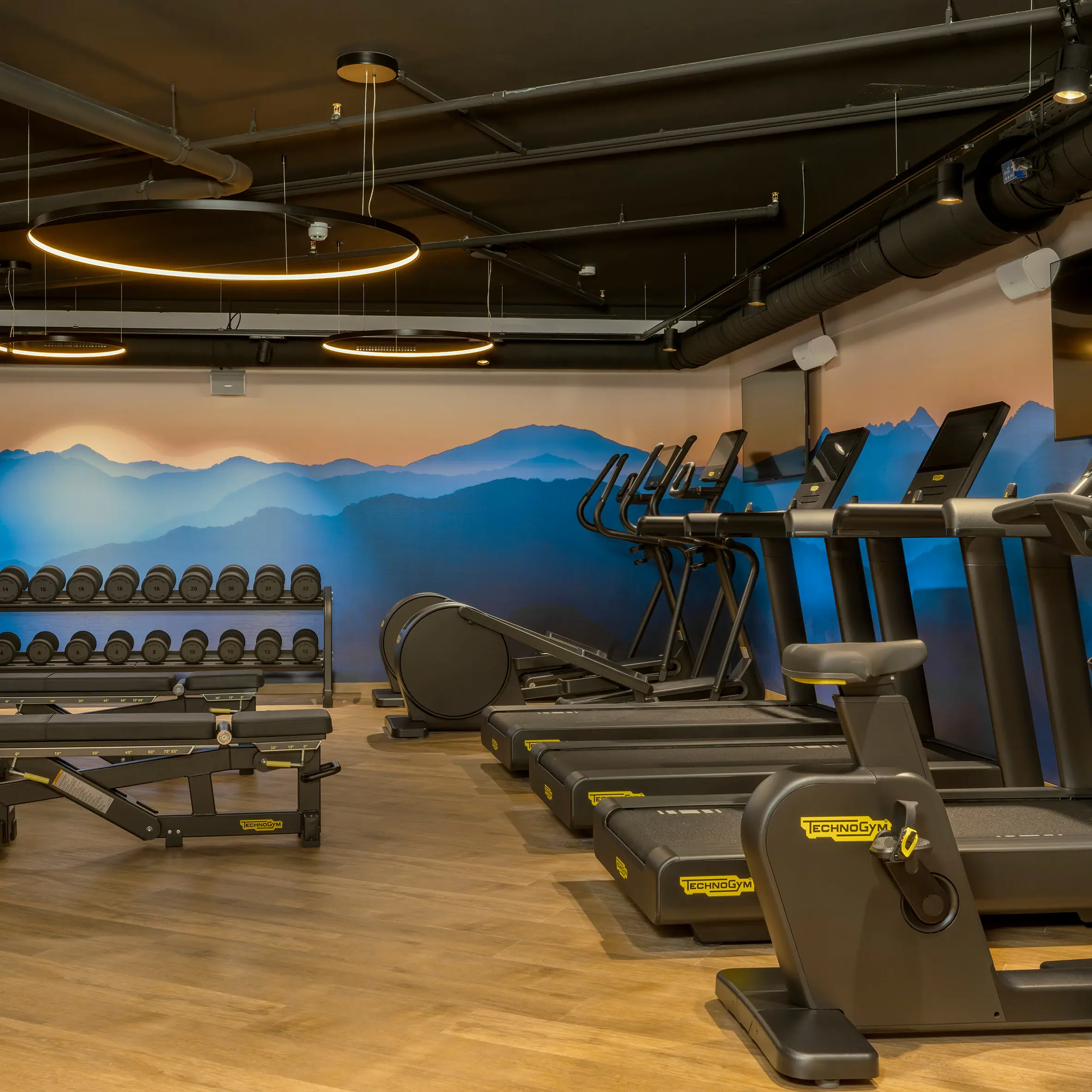 Ein Fitnessstudio mit Laufbändern und Trainingsgeräten.