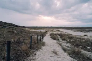 Ein Feldweg durch ein Feld unter bewölktem Himmel.