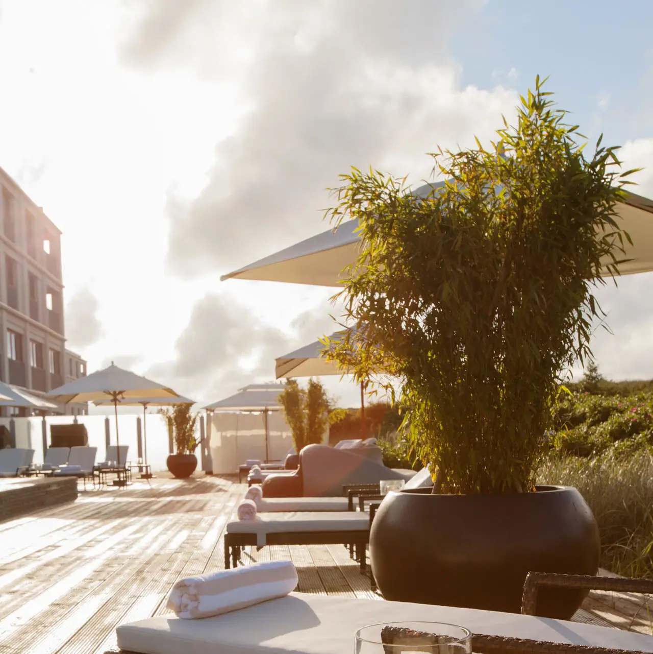 Liegestühle und eine große Kübelpflanze auf einer Holzterrasse im SPA Bereich im A-ROSA Hotel Sylt.