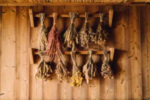 Bündel getrockneter Blumen an einer Wand